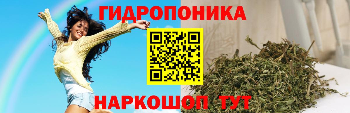 Марихуана марихуана Великий Новгород
